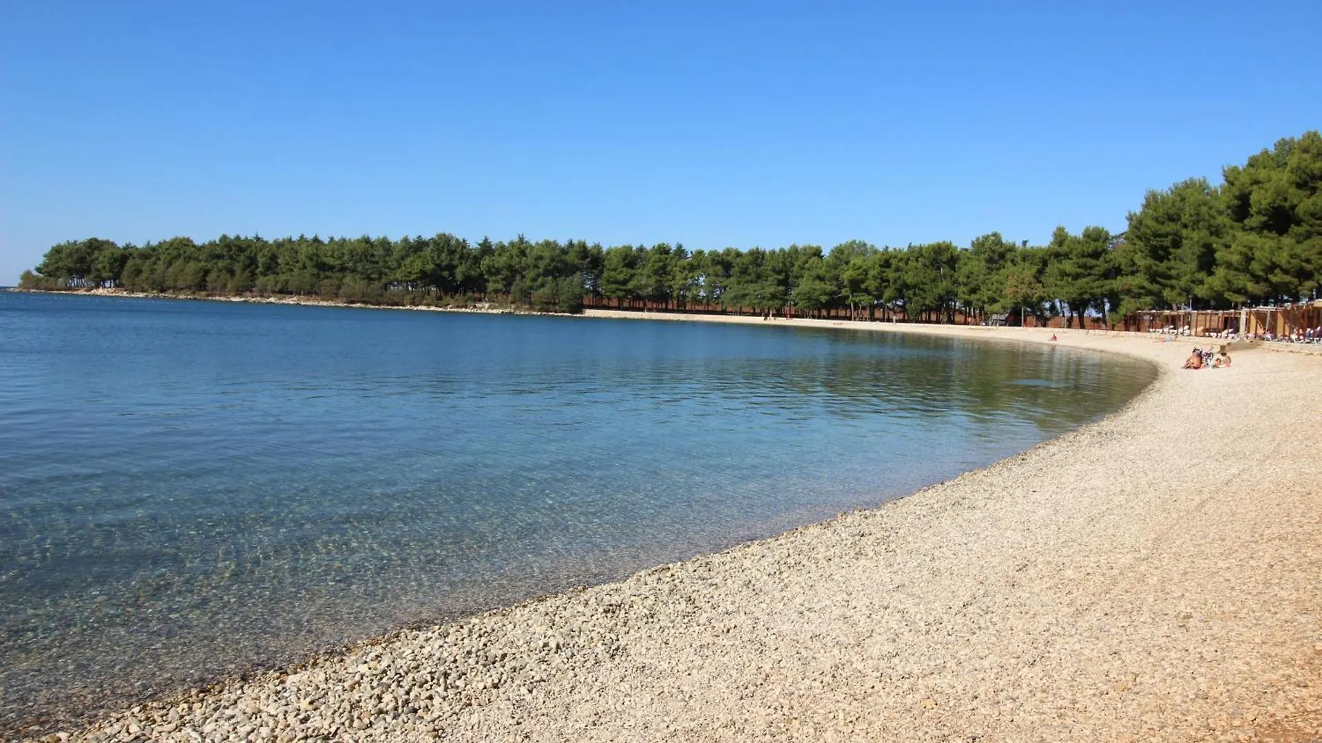 Zeljko Nr1 From The Beach 800 M Novigrad  Apartment